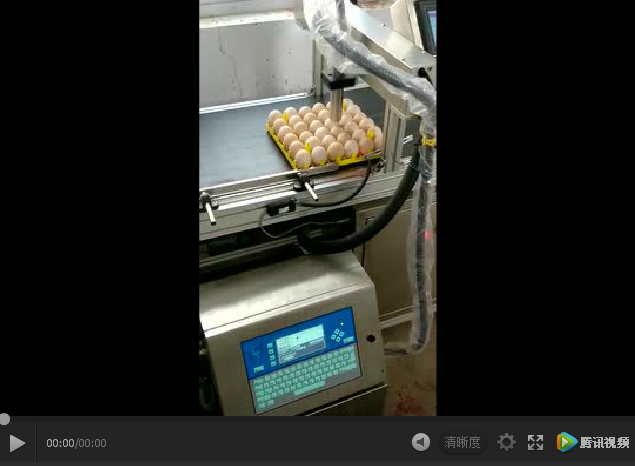  雞蛋機(jī)視頻